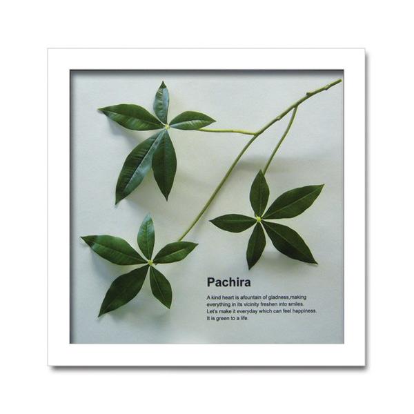 アートフレーム リーフパネル グリーン おしゃれ ウォールデコレーション ナチュラル 壁掛け 飾り 観葉植物 パキラ 325x325mm 5,113円