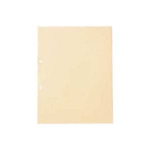 （業務用30セット）ジョインテックス OPPクリアポケット 中紙有2穴10枚 D120J