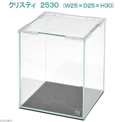 クリスティ　２５３０（Ｗ２５XＤ２５XＨ３０）　ガラス水槽（単体）　小型水槽　お一人様５点限り　ＣＲＣ10―11―01―20―00