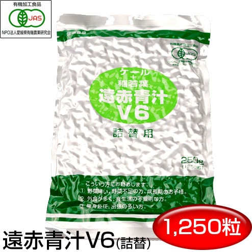 V6 1250粒 詰替用 1062