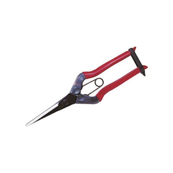 （まとめ）近正（チカマサ） 芽切鋏ロング T-570 1個 [x3セット]