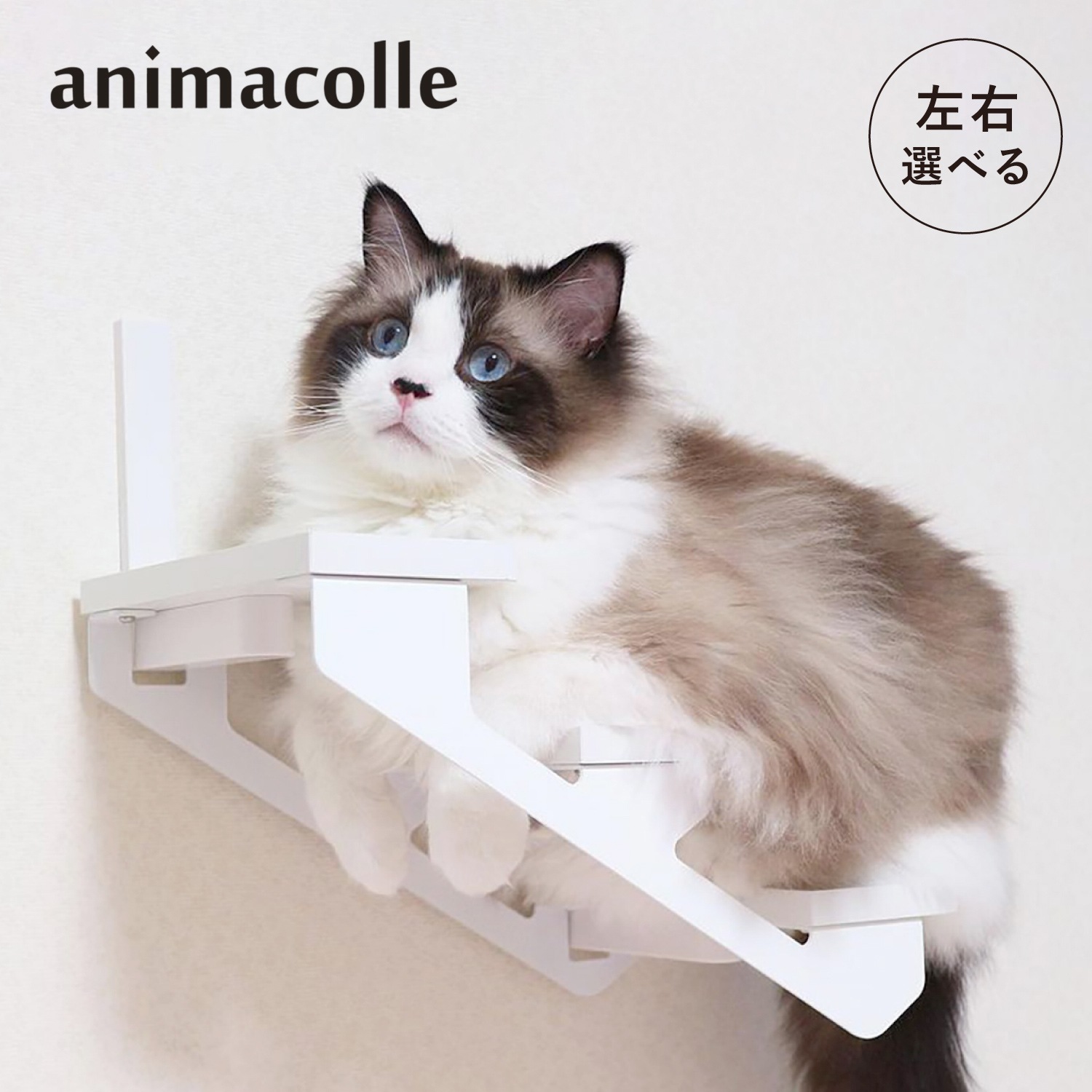 キャットステップ キャットタワー キャットラダー 左上り/右上り 日本製 安全 壁付け 棚板 足場 猫 ねこ コンパクト ホワイト 白