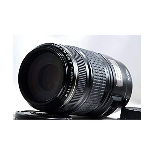 【中古】キヤノン Canon EF 75-300mm F4-5.6 IS USM