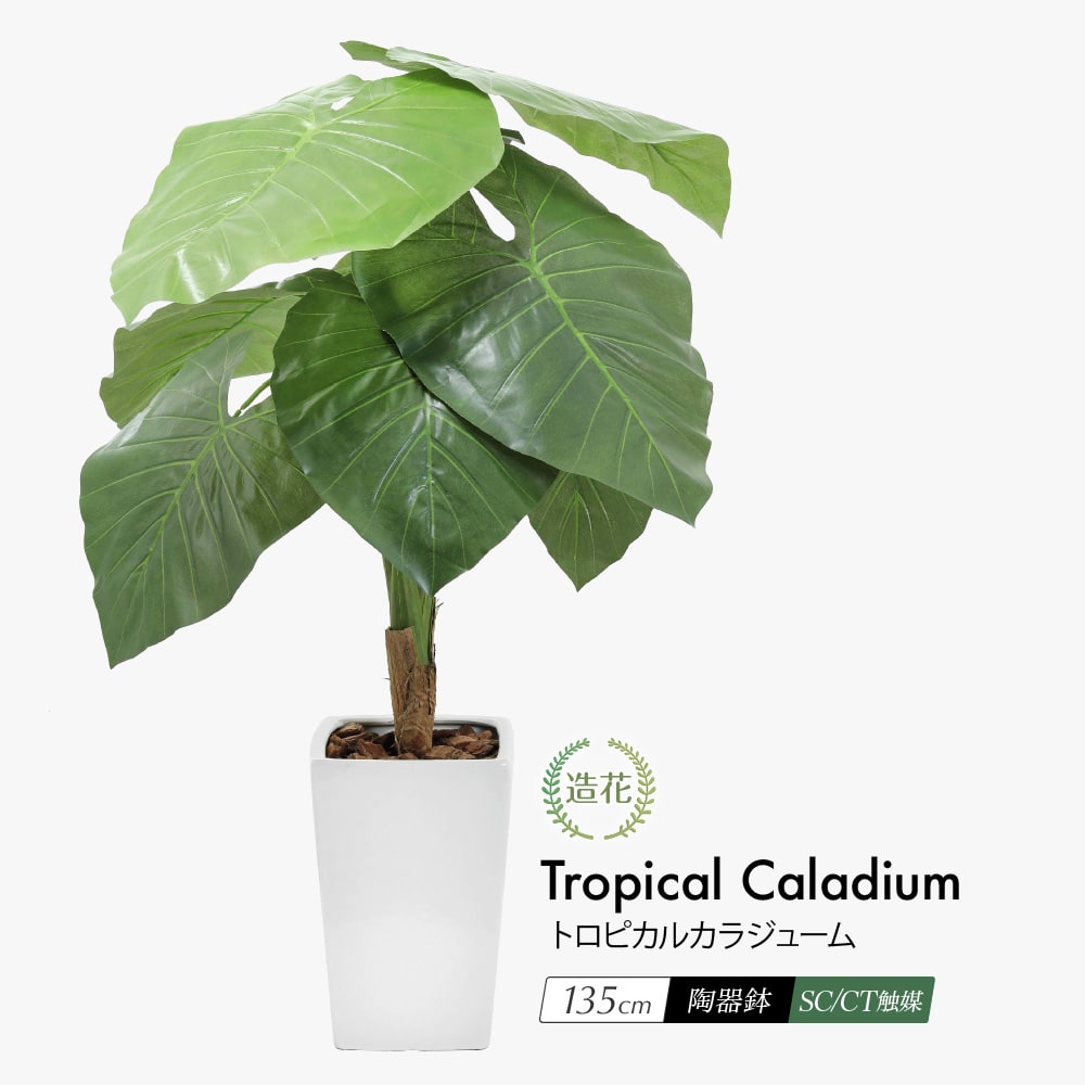 フェイクグリーン トロピカル カラジューム 135cm 鉢植 陶器鉢 CT触媒 14,683円