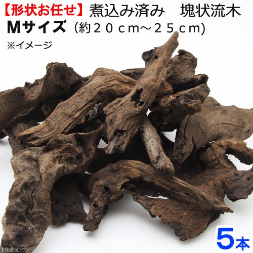 形状お任せ　煮込み済み　塊状流木　Ｍサイズ（約２０ー２５ｃｍ）　５本　レイアウト素材　ＣＲＣ21―10―20―20―00
