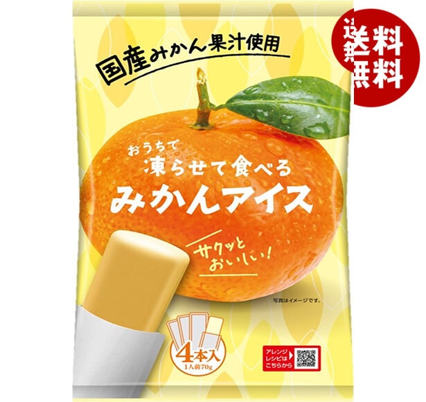 谷尾食糧工業 凍らせて食べる 国産みかんアイス (70g＊4)＊12袋入＊(2ケース)