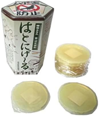 【2個セット】置くだけカンタン鳩対策　はとにげ～る