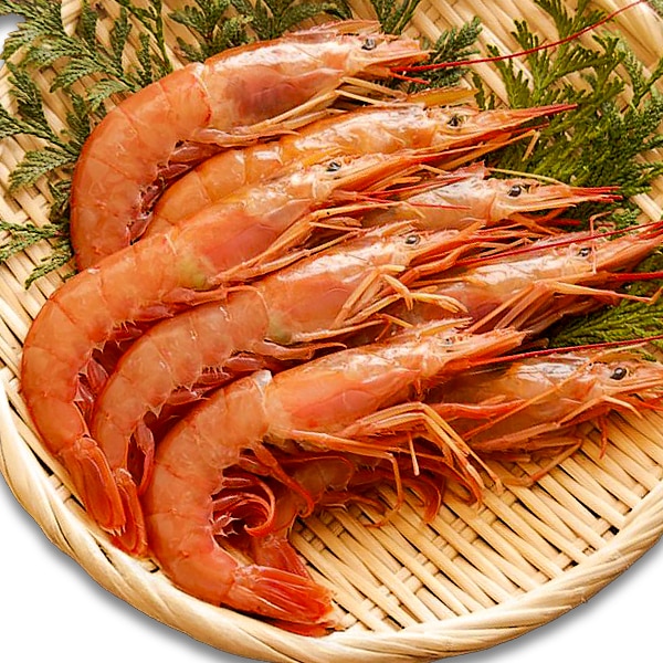 2kg 超特大天然赤エビ 1尾約20cm お刺身OK 赤海老 赤えび アカエビ あかえび 海老 えび 生 新鮮 海の幸 海鮮 冷凍