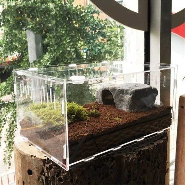 Qoo10] 爬虫類好きな方飼育ケース ケージ 虫 昆