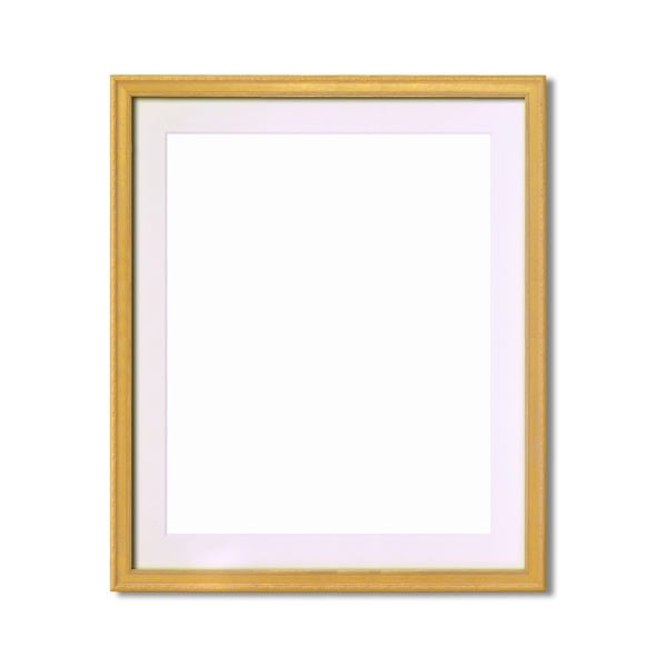 軽量水彩額金水彩額銀水彩額UV（紫外線）カットアクリル 柄入り水彩額マット付 F10 ゴールド