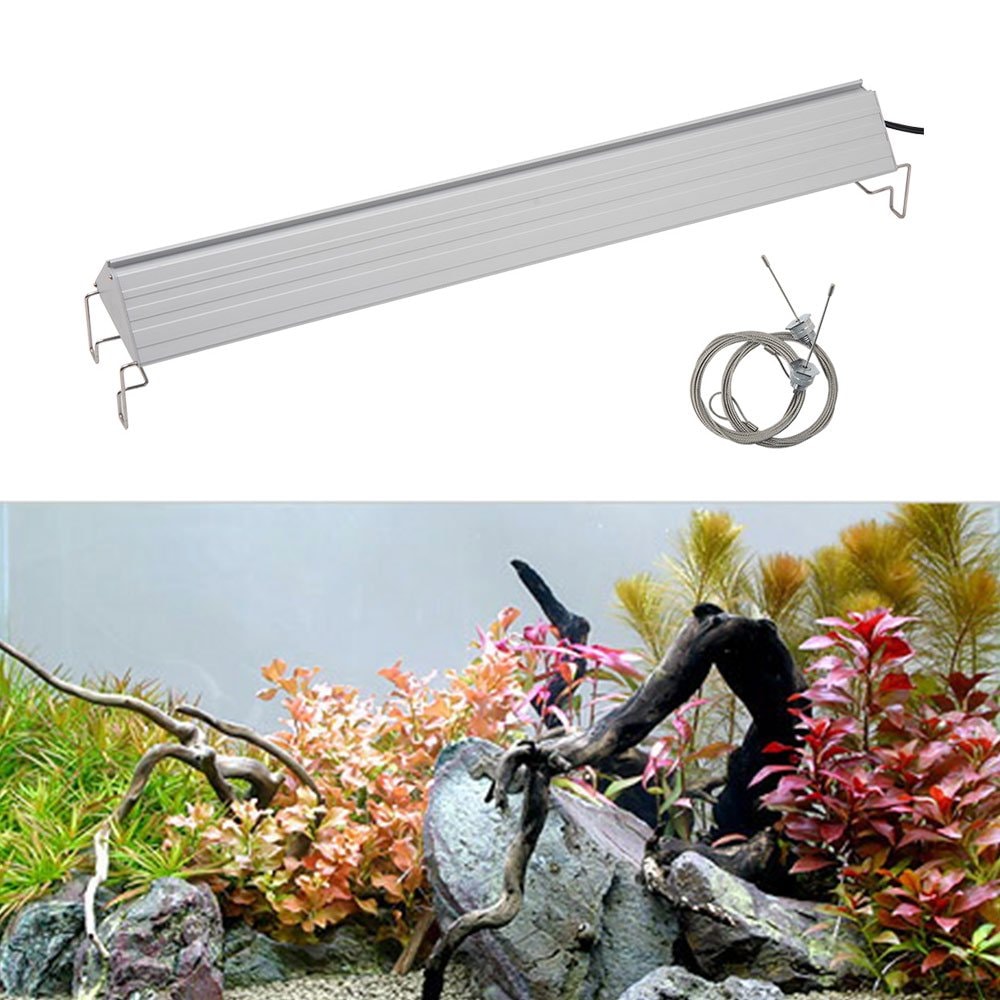 （水草）水の中の紅葉セット（水上葉）（無農薬）＋アクロＬＥＤ　ＧＲＯＷ６００　６０ｃｍ水槽用　本州四国限定　ＣＲＣ10―15―10―40―40