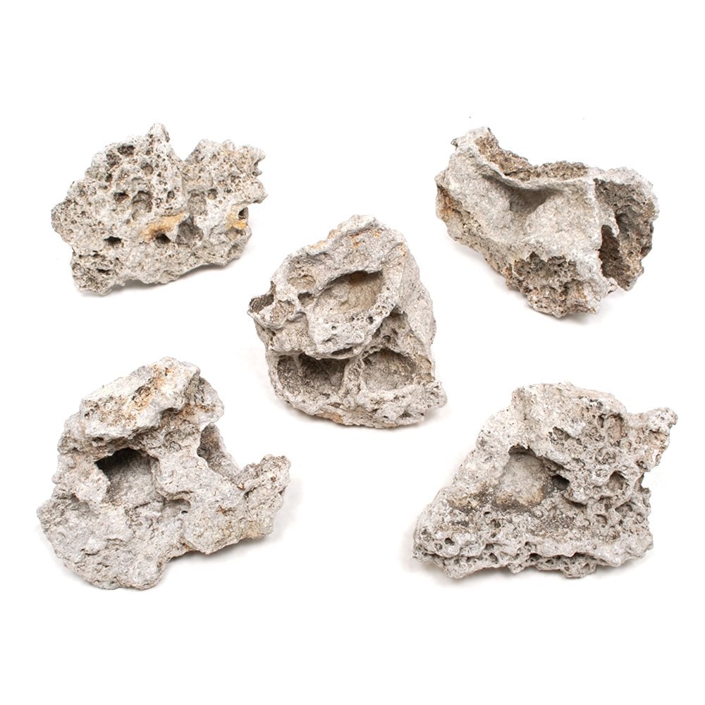 形状お任せ　暗月石　Ｍサイズ（約１３ー１８ｃｍ）　５個　アクアリウム　レイアウト素材　ＣＲＣ21―20―99―10―00