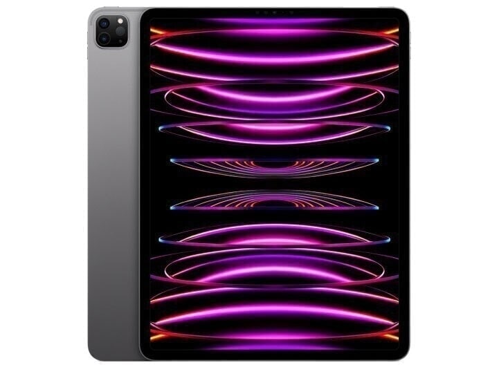 iPad Pro 12.9インチ 第6世代 Wi-Fi 256GB 2022年秋モデル MNXR3J/A [スペースグレイ] 98,918円