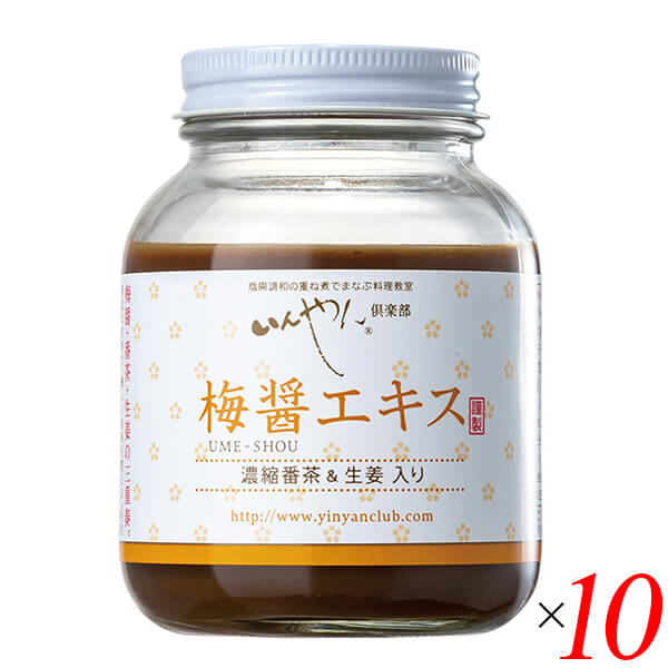 梅醤エキス 濃縮番茶＆生姜入り 250g 10個セット いんやん倶楽部
