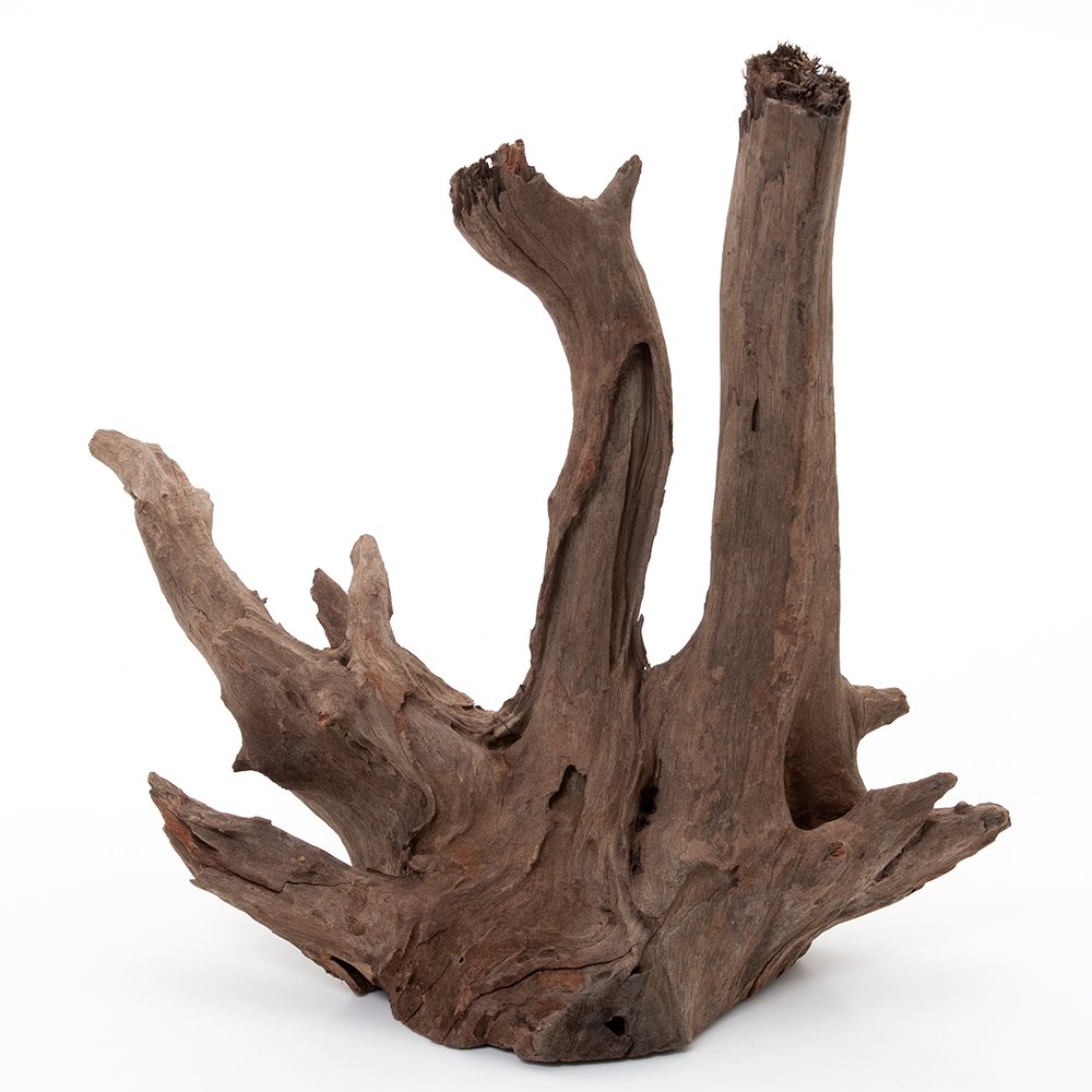 カミハタ　タイ産天然流木　ダークホーンウッド　ＸＬ　形状お任せ　未アク抜き　約３７X２５X３５ｃｍ　アクアリウム　水槽　ＣＲＣ21―10―50―00―00