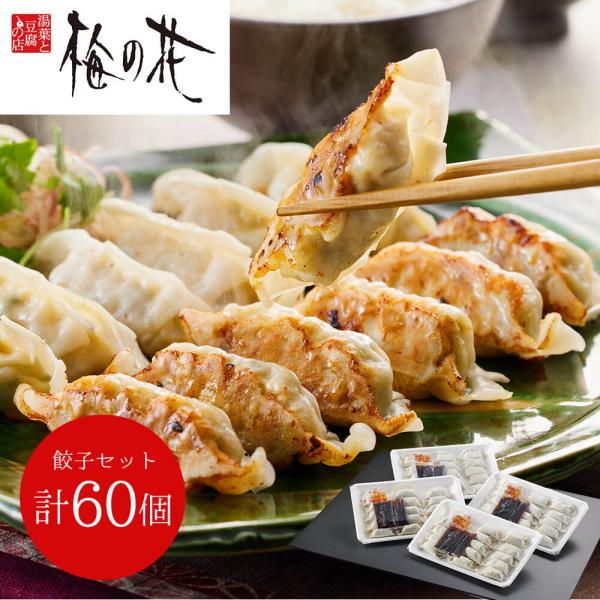 梅の花 餃子セット 計60個 SISK