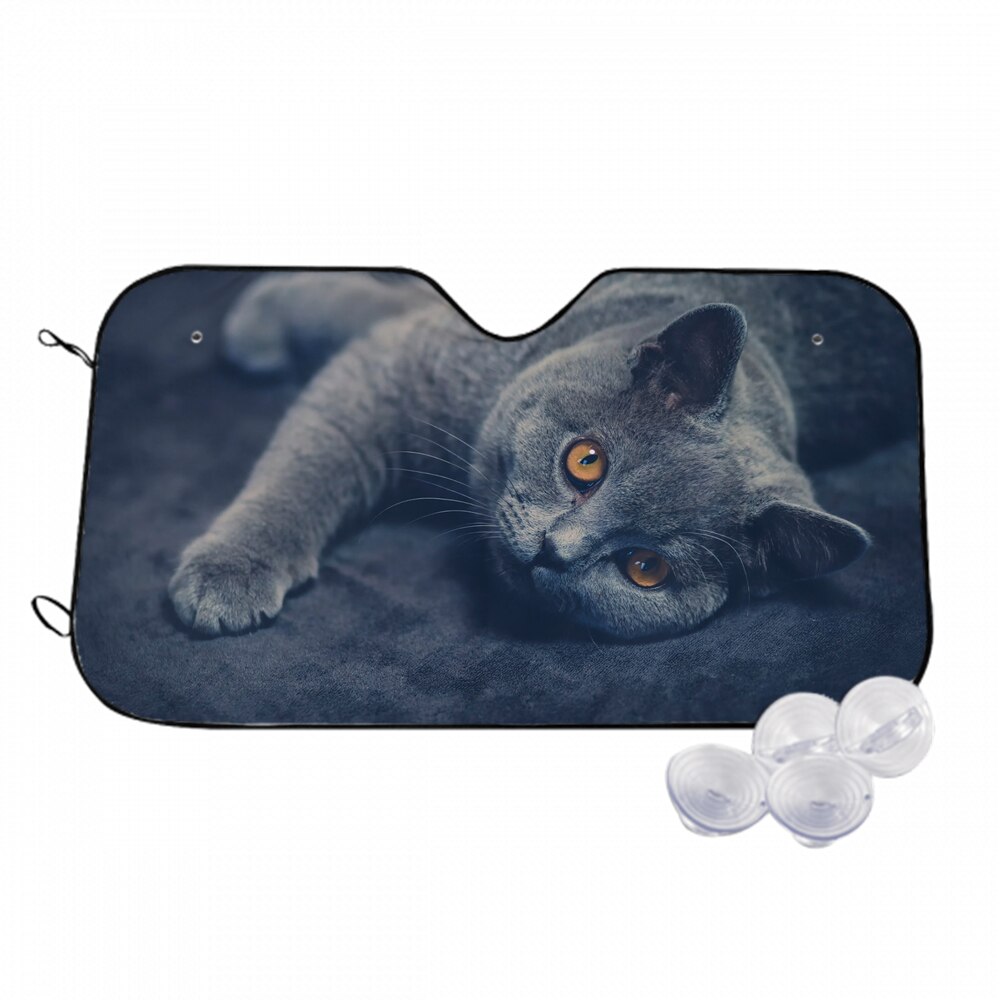 ブリティッシュショートヘア-猫 太陽耐熱性を遮断し