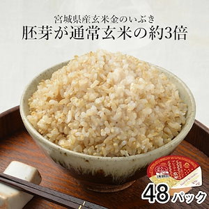 パックご飯 金のいぶき 玄米 パック 48個セット 120g 米 お米 こめ おこめ 安い レトルト食品 レトルト ご飯パック ごはん レンジ 無添加 国産 ギフト 内祝い お中元 お歳暮 おくさま印