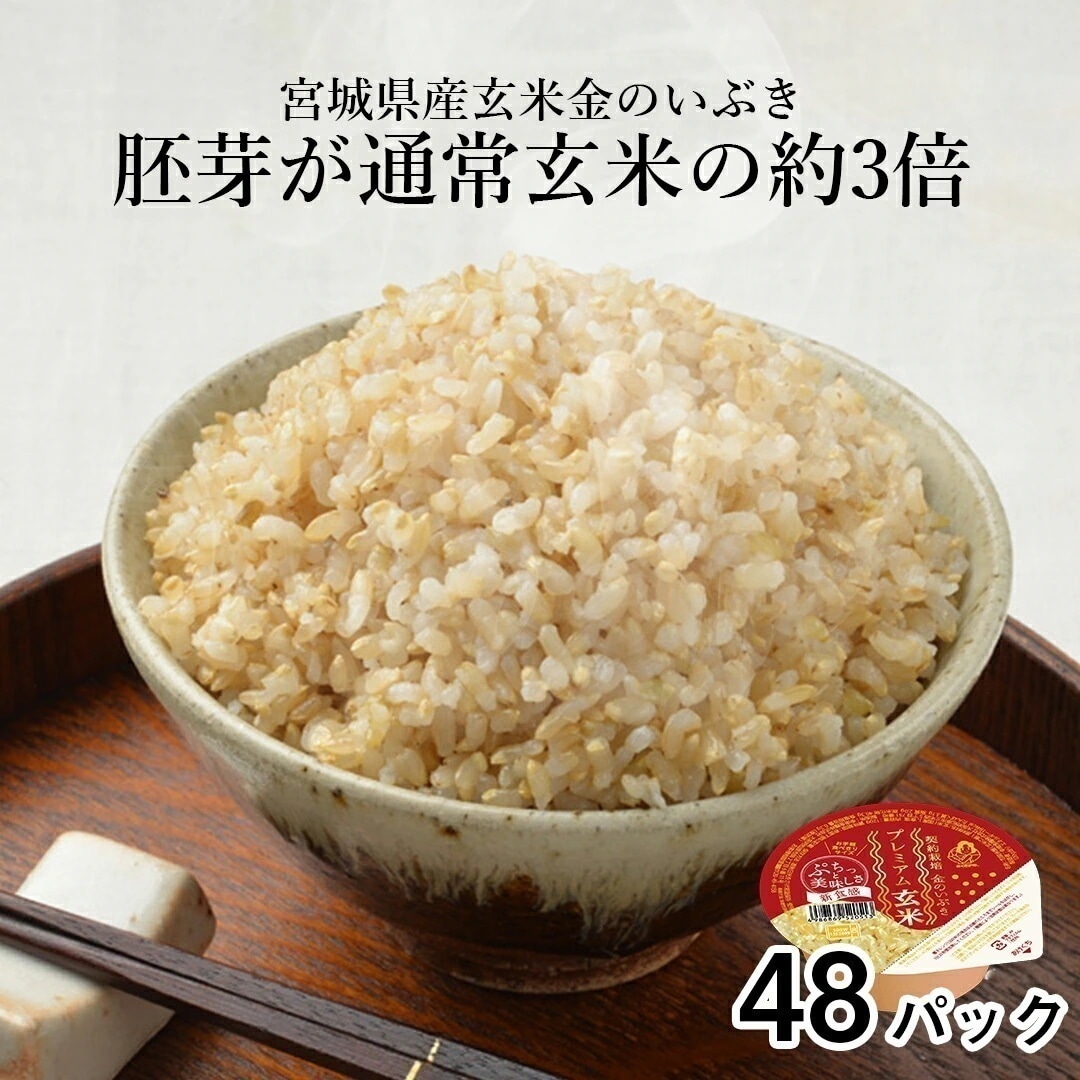 パックご飯 金のいぶき 玄米 パック 48個セット 120g 米 お米 こめ おこめ 安い レトルト食品 レトルト ご飯パック ごはん レンジ 無添加 国産 ギフト 内祝い お中元 お歳暮 おくさま印