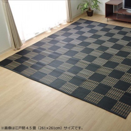 洗える PPカーペット 『ウィード』 ブラック 本間6畳(約286.5×382cm) 2116916