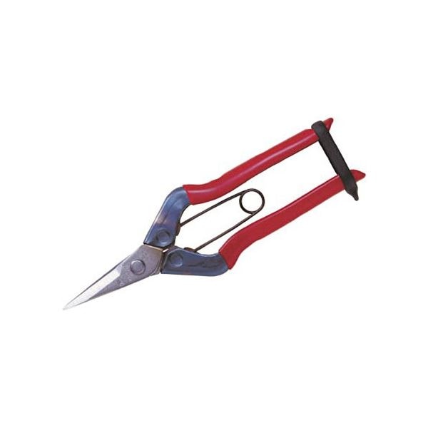 （まとめ）近正（チカマサ） ステンレス摘果鋏 T-500S 1個 [x3セット]