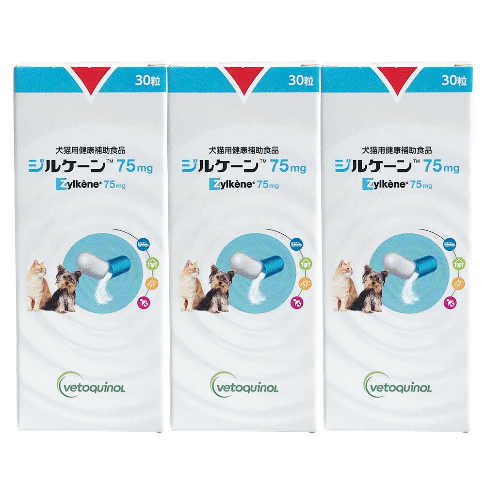 【3個セット】ジルケーン 75mg