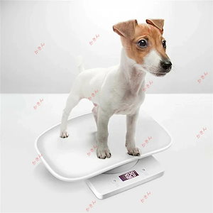 ペット体重計スケール10KGまで小型精密ポータブル子犬子猫うさぎ用電池式大工場製造