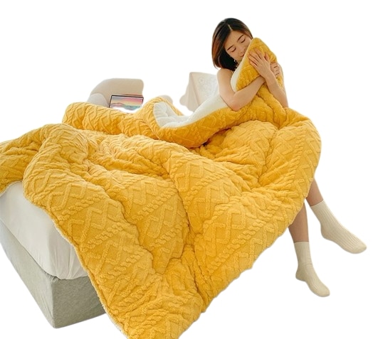 厚く暖かいタフタ冬のキルトラムウールキルトシングルダブル学生寮ミルクベルベットキルトコア