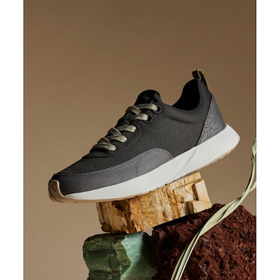 一気に 凄腕気分」カービングスキー ELAN168cm メンズ サロモン800