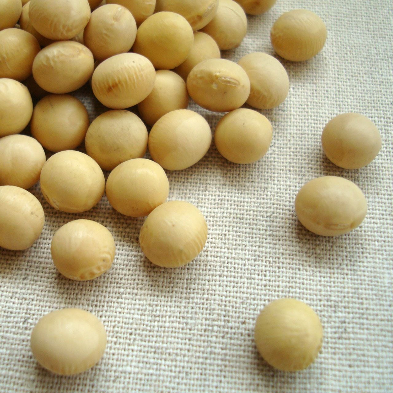 大豆 30kg 2024年産 令和6年産 北海道産 とよまさり ユキホマレ 業務用紙袋 店舗発送