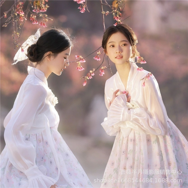 フォトスタジオ韓国韓国人女性延吉王女の写真をテーマにした雰囲気のある宮殿撮影衣装 5,912円