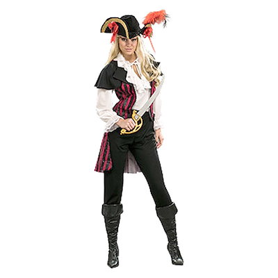 トウブハコガメ骨格標本(甲羅)ブラック系 剥製 爬虫類 【公式通販】