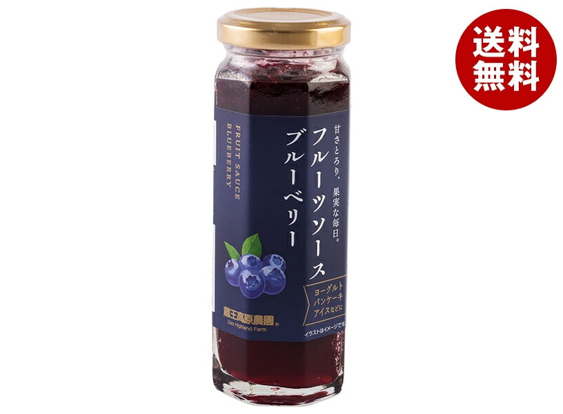 和歌山産業 フルーツソース ブルーベリー 160g＊12本入＊(2ケース) 5,584円