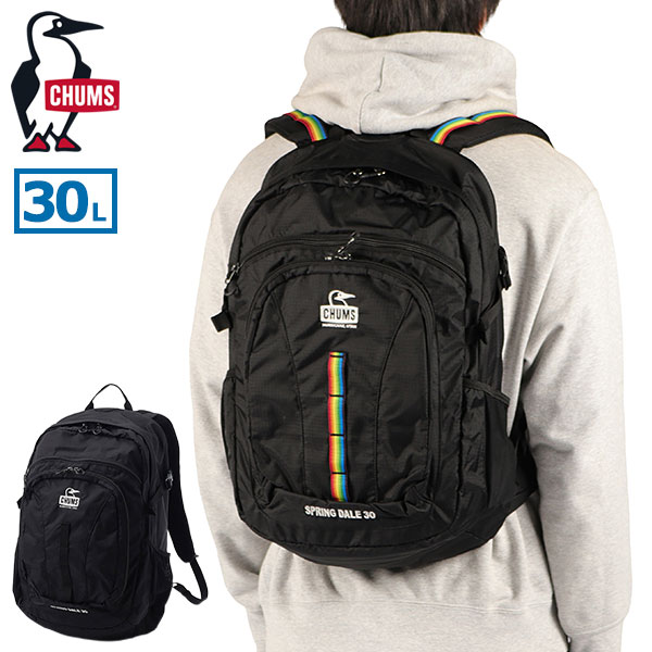 日本正規品 リュック メンズ レディース 通学 大きめ おしゃれ カジュアル 大人 30L A4 B4 トレッキング 登山 アウトドア レインカバー スプリングデール30 CH60-4097