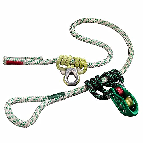 Teufelberger pulley SAVER プーリーセーバー フリクションセーバー ツリーク