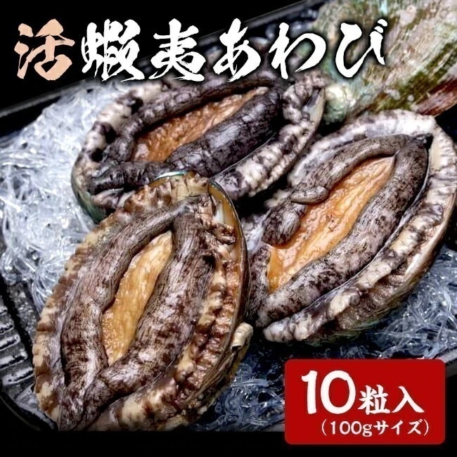 韓国産 養殖活エゾアワビ 約1kg (100gサイズ 10粒入) 活アワビ 養殖 魚介 貝 あわび