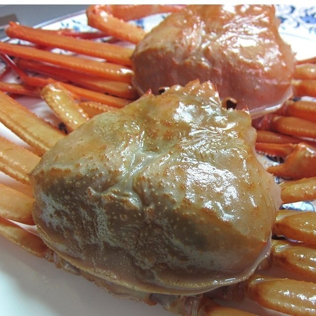 プロ用「活蟹L5尾」-活〆大サイズ5尾入り- 刺し・焼き・鍋・蒸し何でも!!