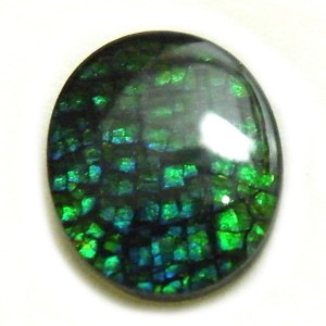 アンモライト トリプレットルース 約10x12mm 2.99ct 裸石 ルース アンモナイト //1