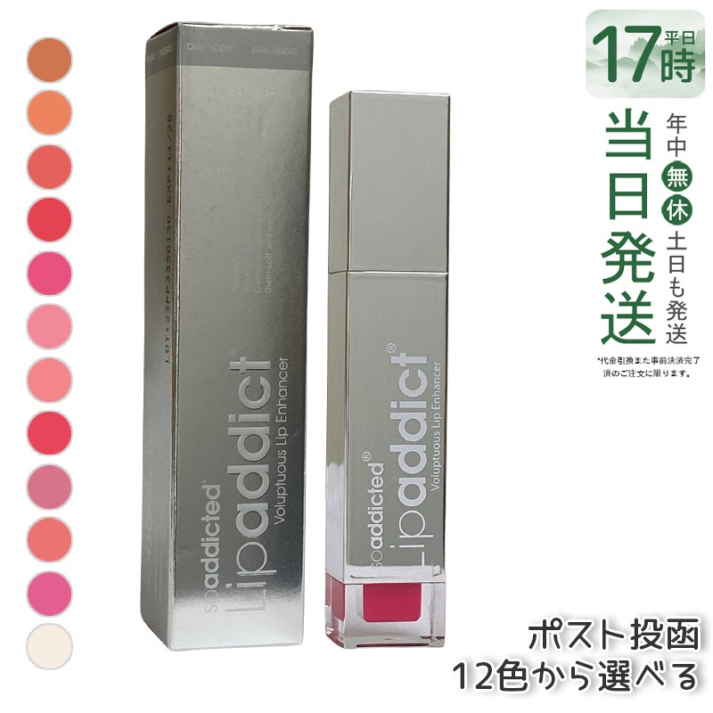 リップアディクト Lip addict 正規品 サロン リップグロス リップカラー 乾燥 保湿 パラベンフリー ハリ感 ベタつかない ナチュラル