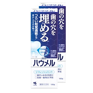 【まとめ買い】ハウメル 知覚過敏ケア 薬用ハミガキ 100g×2個 歯の穴を埋める 小林製薬 【医薬部外品】