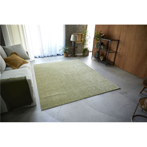 スミノエ 洗える ラグ ルフレ 約幅190x長さ240cm グリーン 日本製