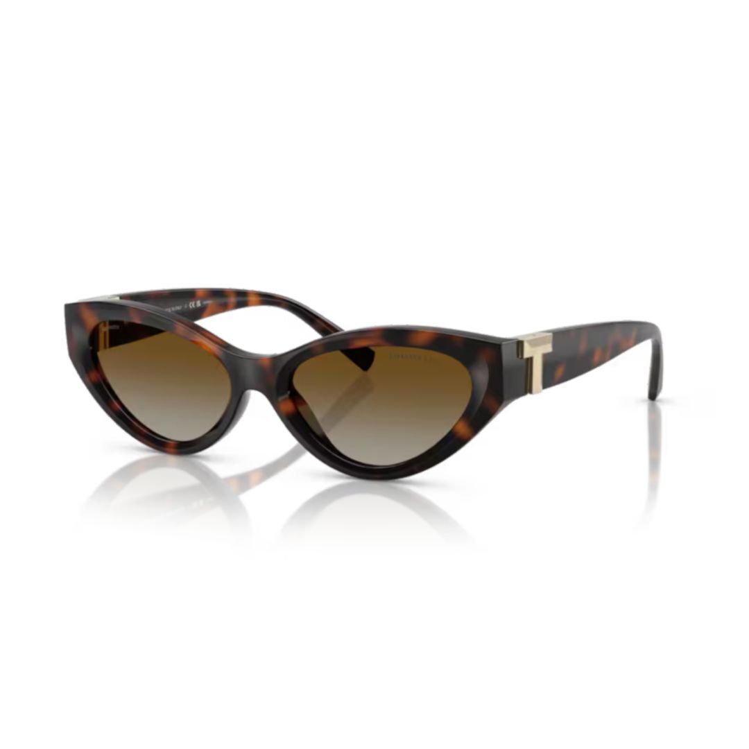 0TF4225U8015T5 秋冬2024 サングラス・メガネ レディース ia