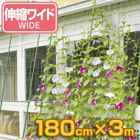 緑のカーテン 伸縮ワイド 幅180cmx高さ1.6ー3m グリーンカーテン 日よけ すだれ