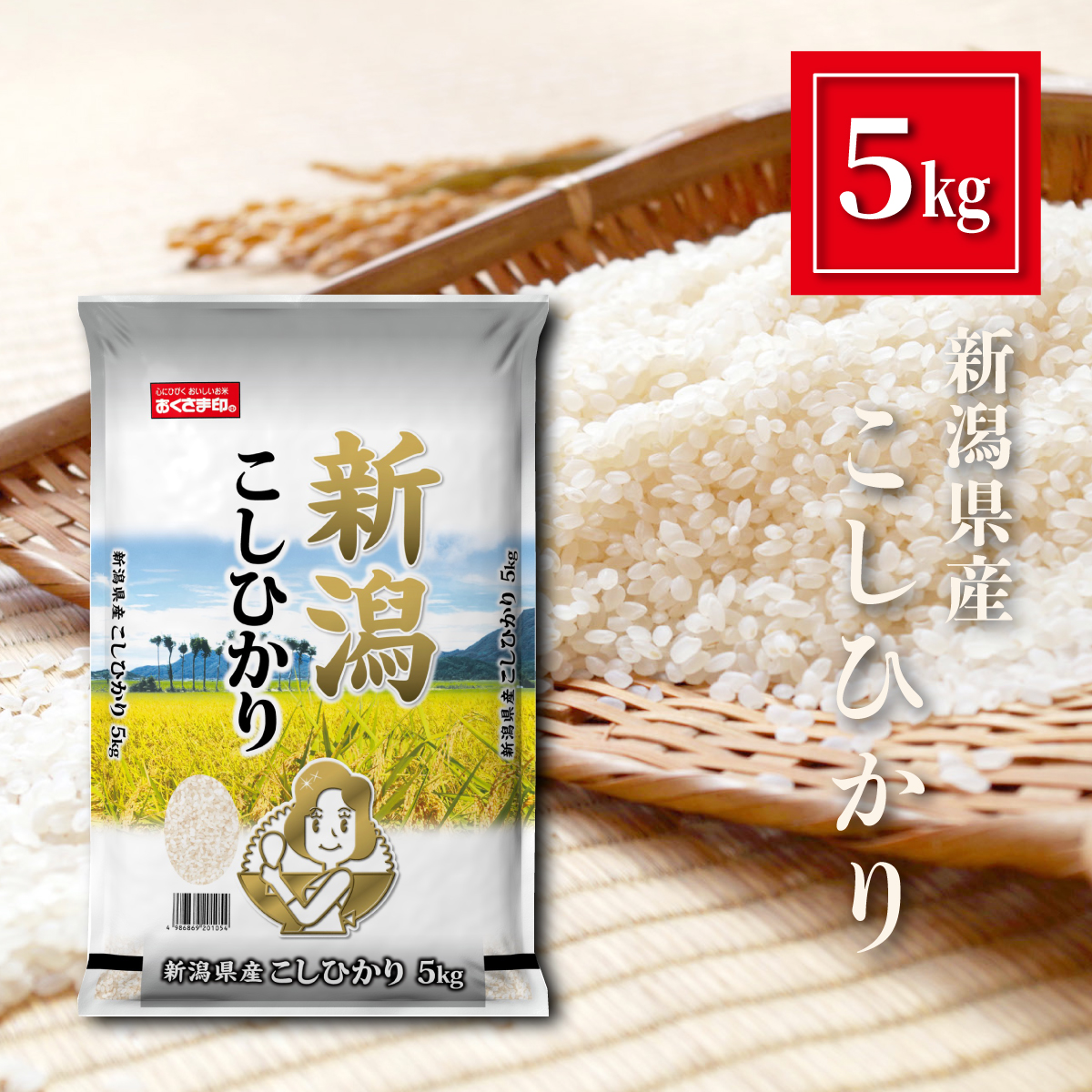 新潟県産 こしひかり お米 5kg 精米 白米 おくさま印 食品 国産 5キロ