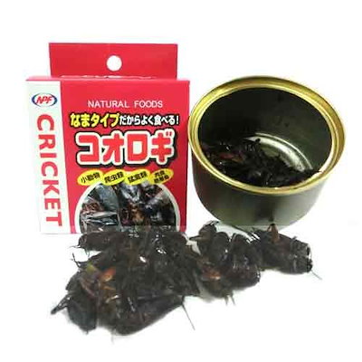 他サイト： コオロギ　ＮＰＦ　コオロギ（缶入り）　４０ｇ　両生類・爬虫類　ハリネズミ　フード　餌　エサ　缶詰　ＣＲＣ17―20―30―20―00の商品画像