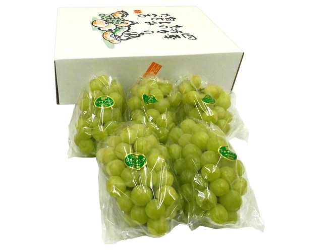 ぶどう岡山産 =瀬戸ジャイアンツ= 大房限定 3-6房 約3kg 化粧箱 ぶどう[K2] 予約 8月以降 11,534円