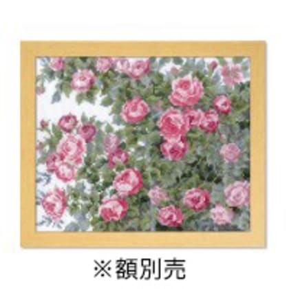 オリムパス オノエ・メグミ ししゅうキット 愛すべき花たち オールドローズ 7450