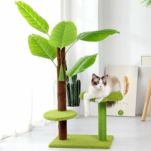 キャットタワー 熱帯雨林 フラワー はな 花 ボール付き 爪とぎ 爪とぎポール 猫 ねこ バショウ ジャンプ台 flower 麻縄 ペット用 運動不足対策 おもちゃ おしゃれ 遊園地 ストレス発散 猫
