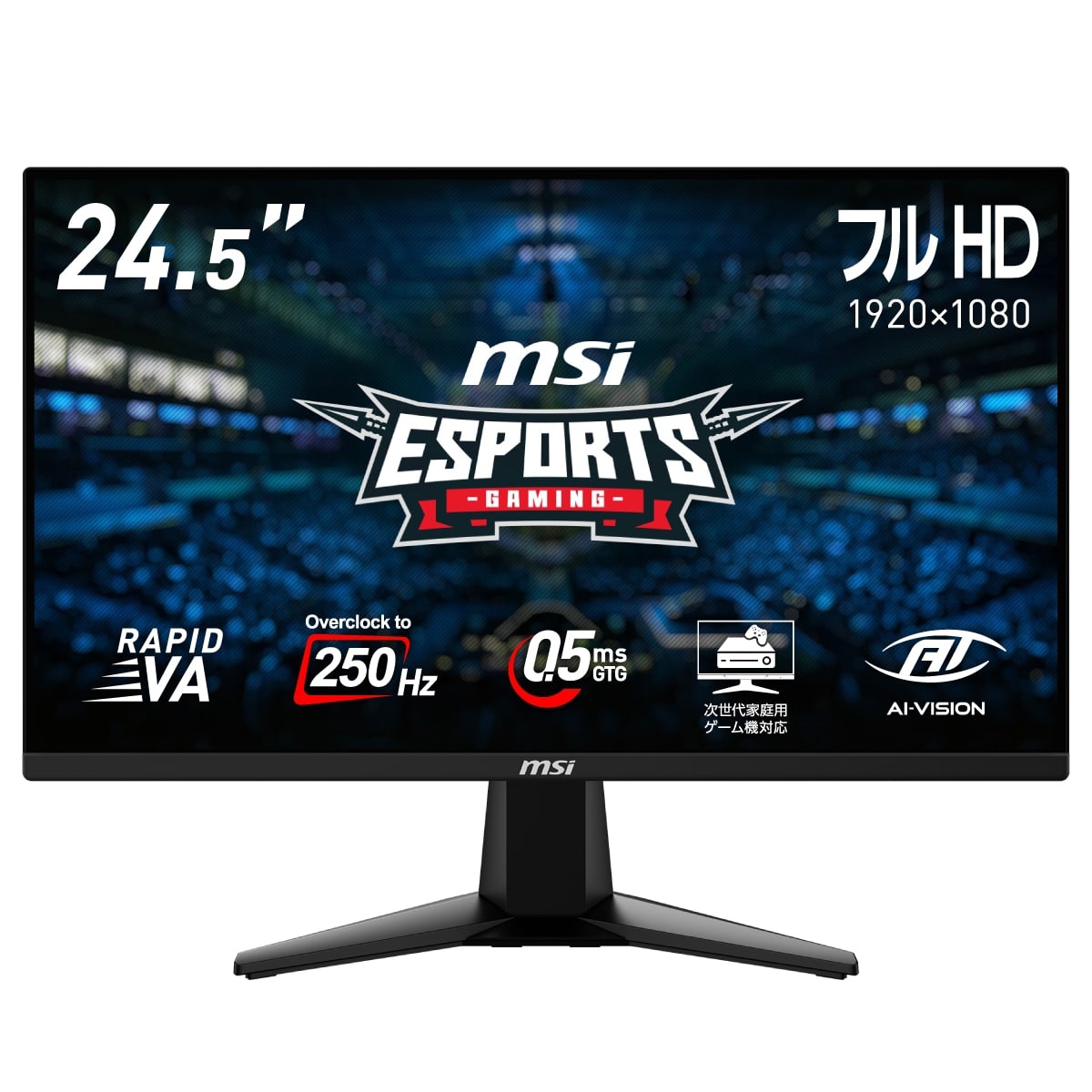MSIエムエスアイ ゲーミング液晶ディスプレイ(24.5型/RAPID VA/フルHD 1920×1080/250Hz/0.5ms/HDR/HDMI2.0b/DP1.4/VESA/PIP・PBP対応