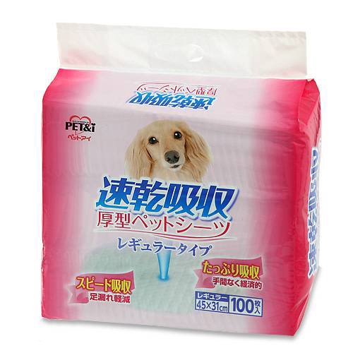 ペットアイ　速乾吸収　厚型ペットシーツ　レギュラー　１００枚X６袋　ＣＲＣ40―25―10―10―00